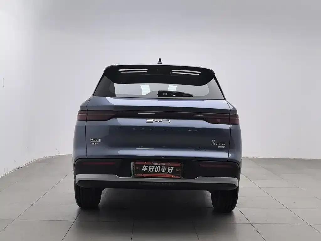 BYD Pro New Energy — фото 4