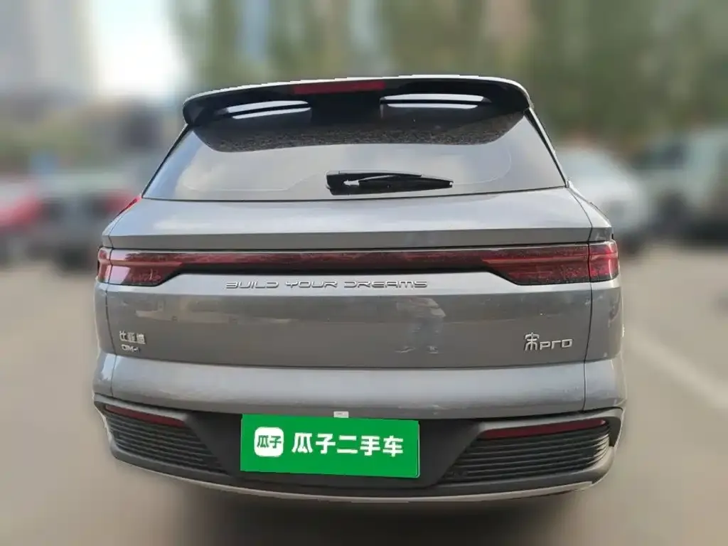 BYD Pro New Energy — фото 2