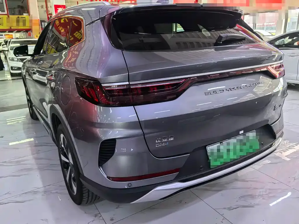 BYD PLUS New Energy — фото 4