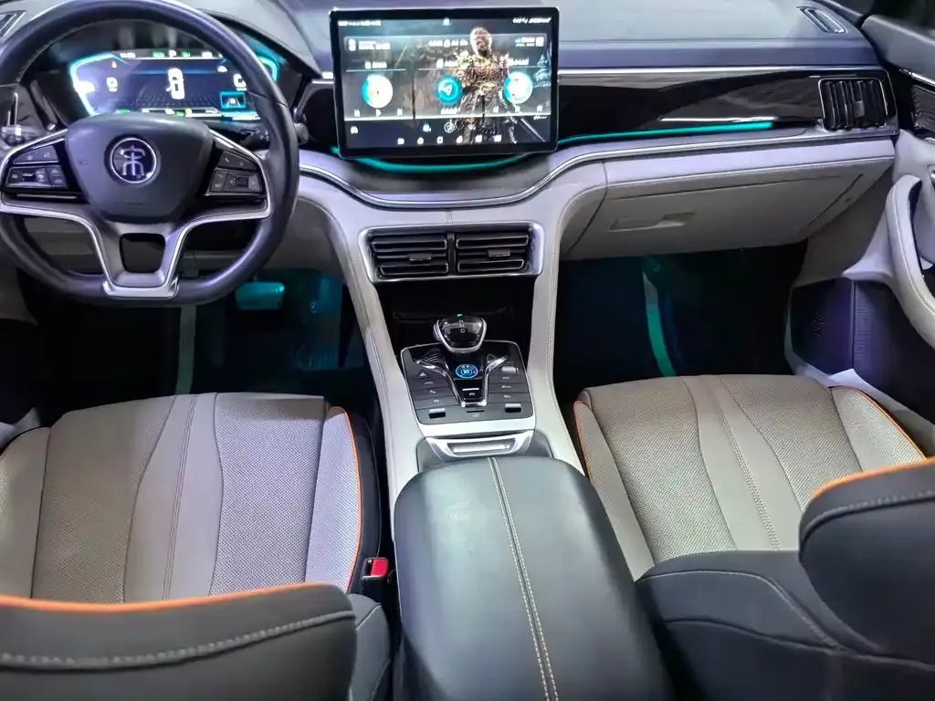 BYD PLUS New Energy — фото 6