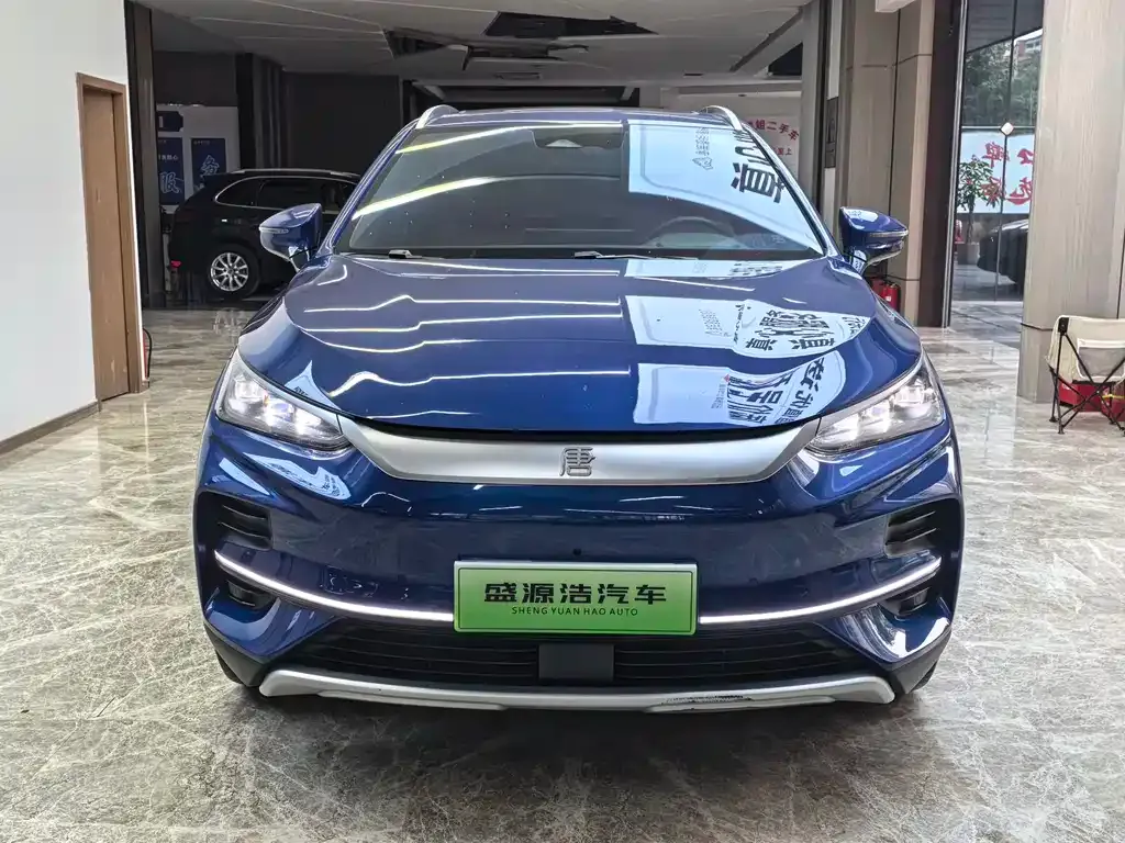 BYD Tang New Energy — фото 2