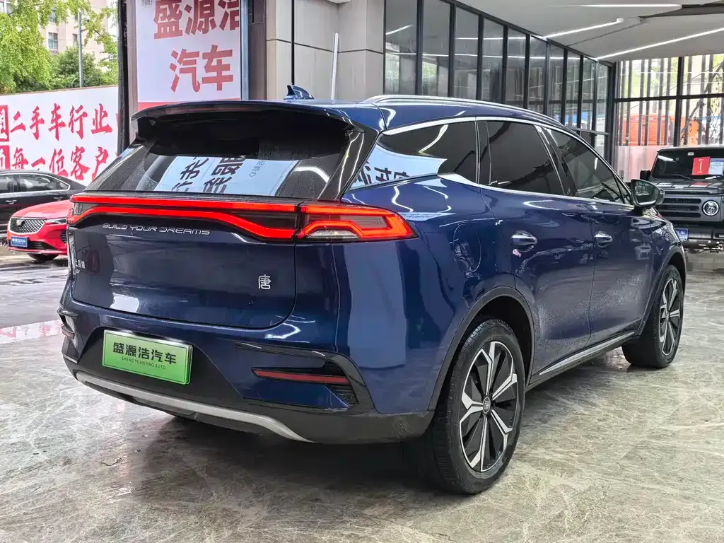 BYD Tang New Energy — фото 6