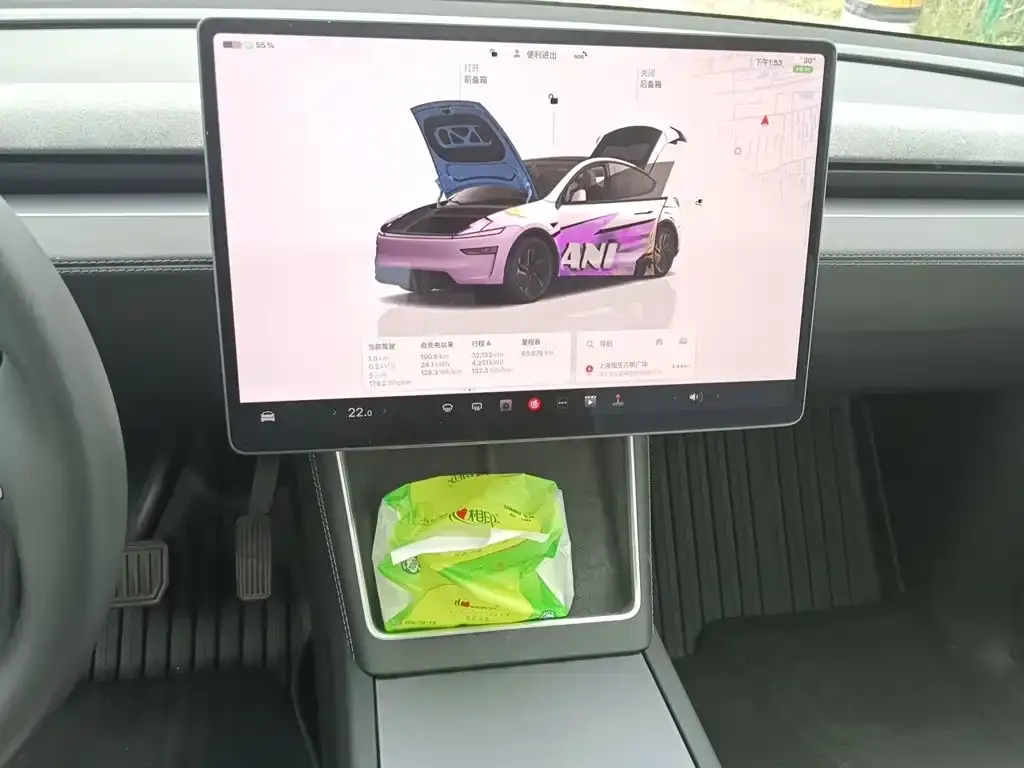 Tesla Model Y — фото 8