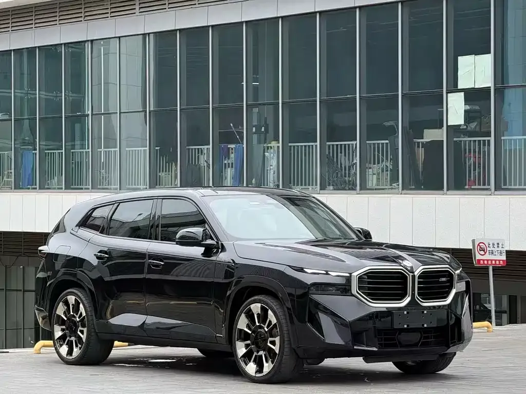 BMW XM — фото 10