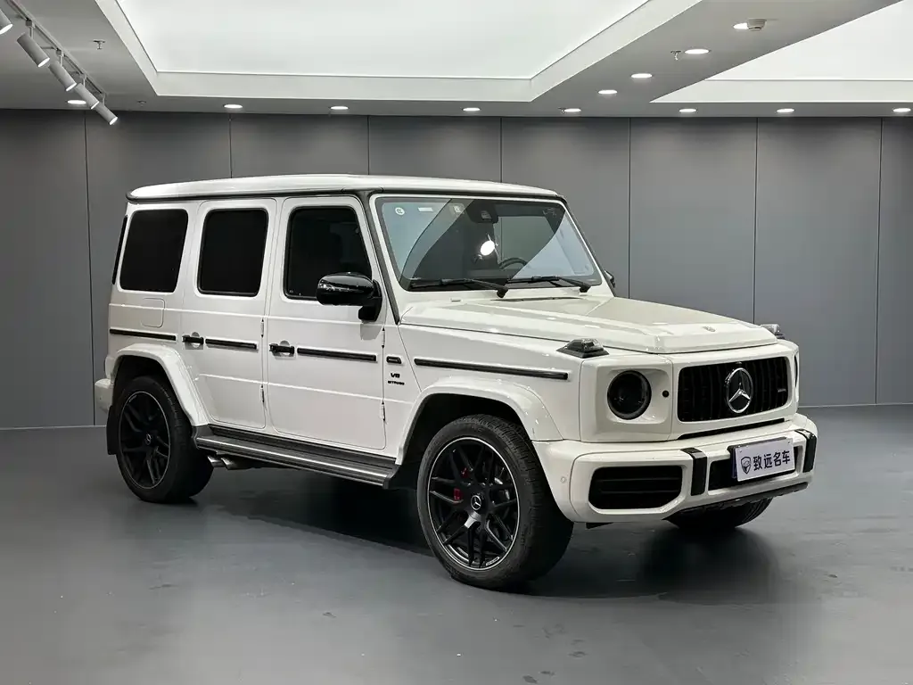 Mercedes-Benz G-Class — фото 10