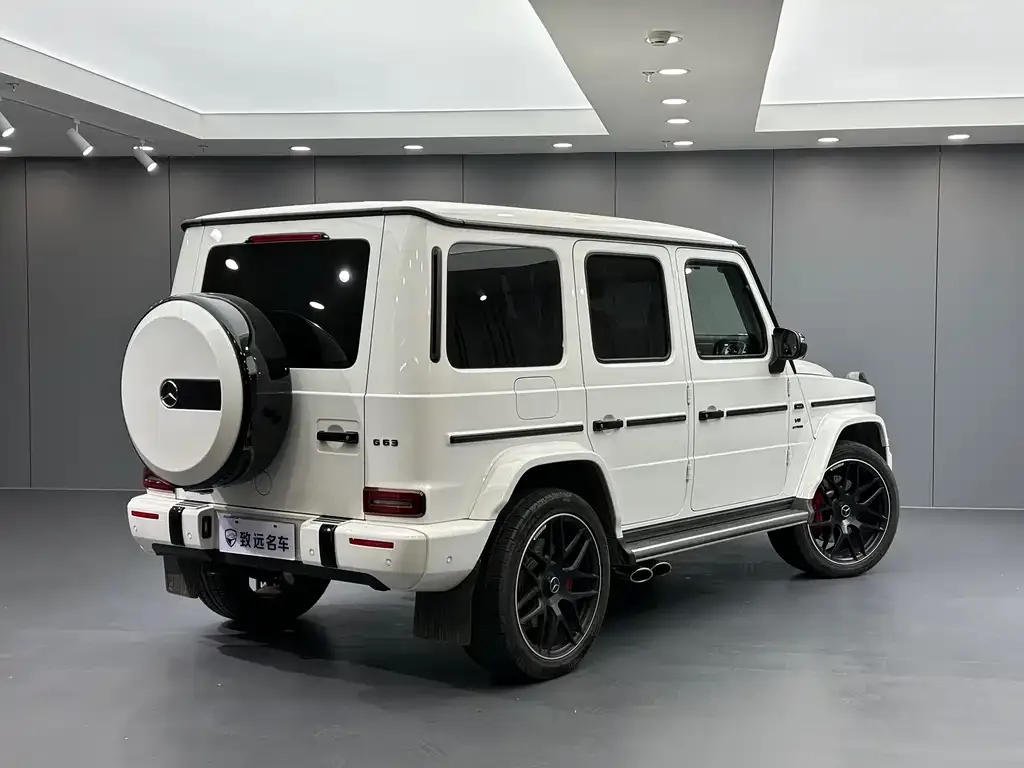 Mercedes-Benz G-Class — фото 5