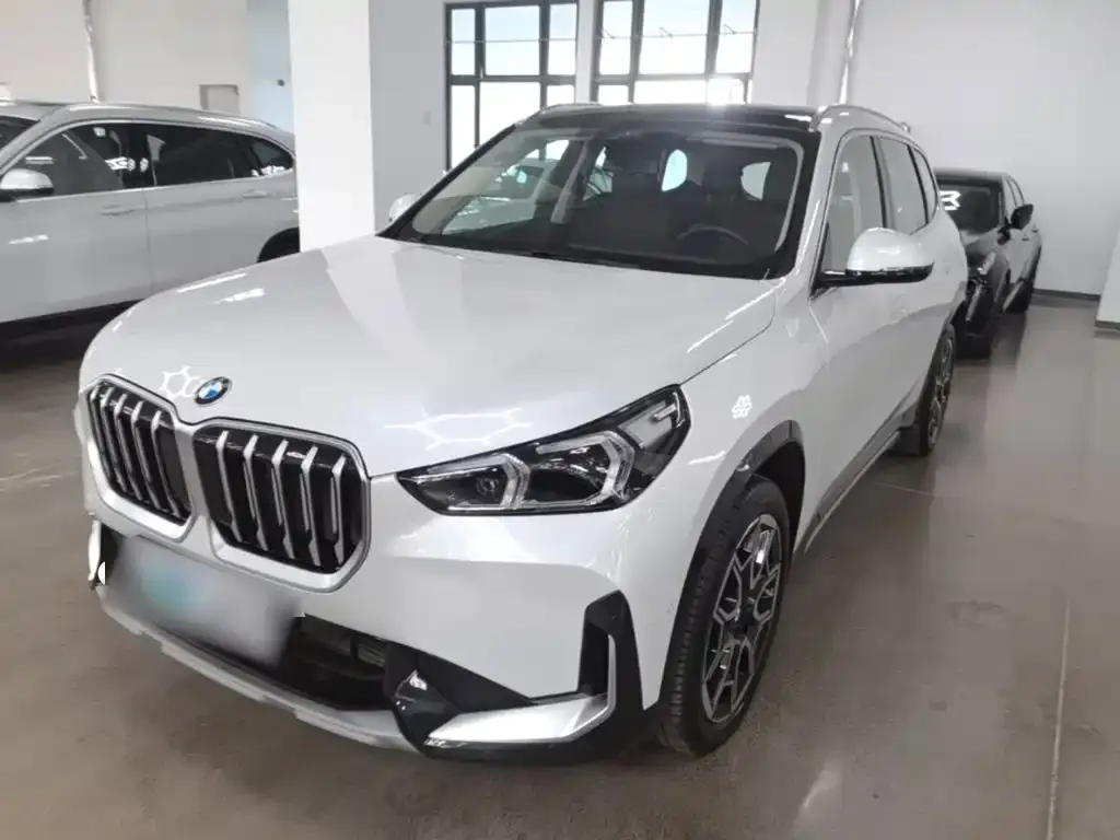 BMW X1 — фото 1