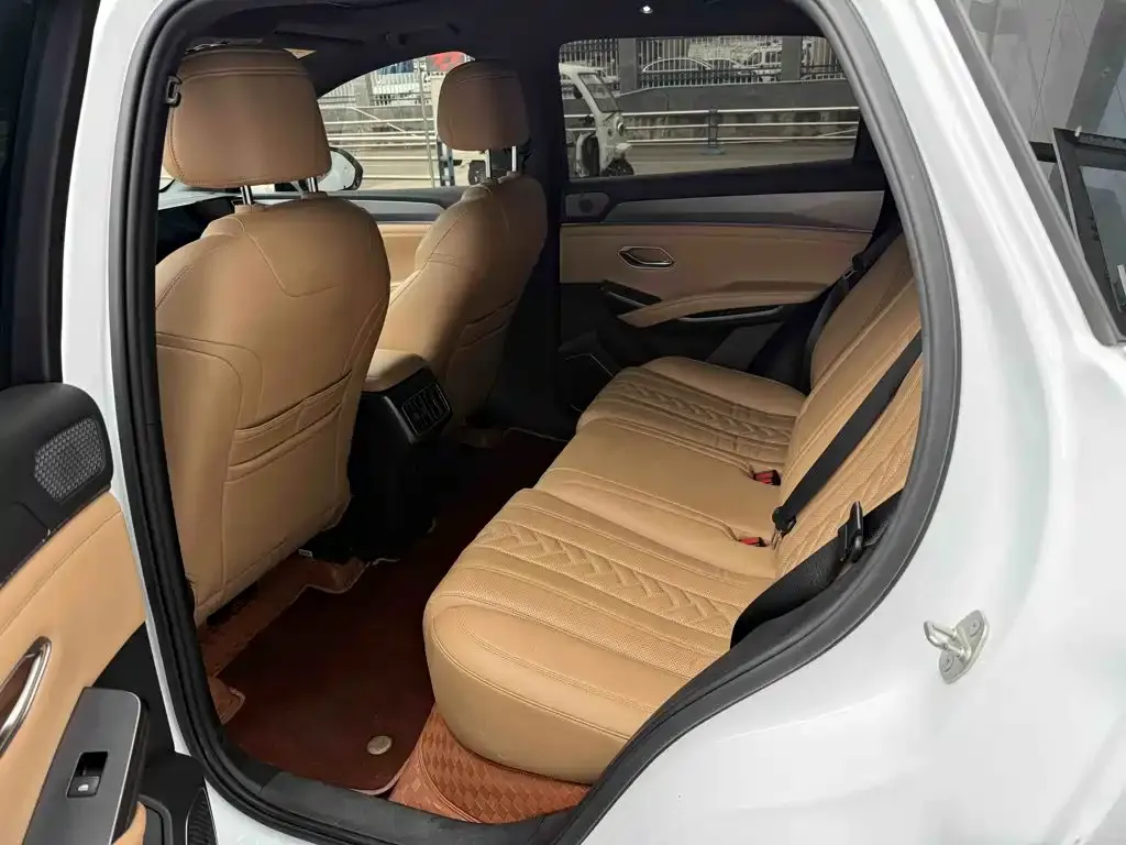 BYD L DM-i — фото 10