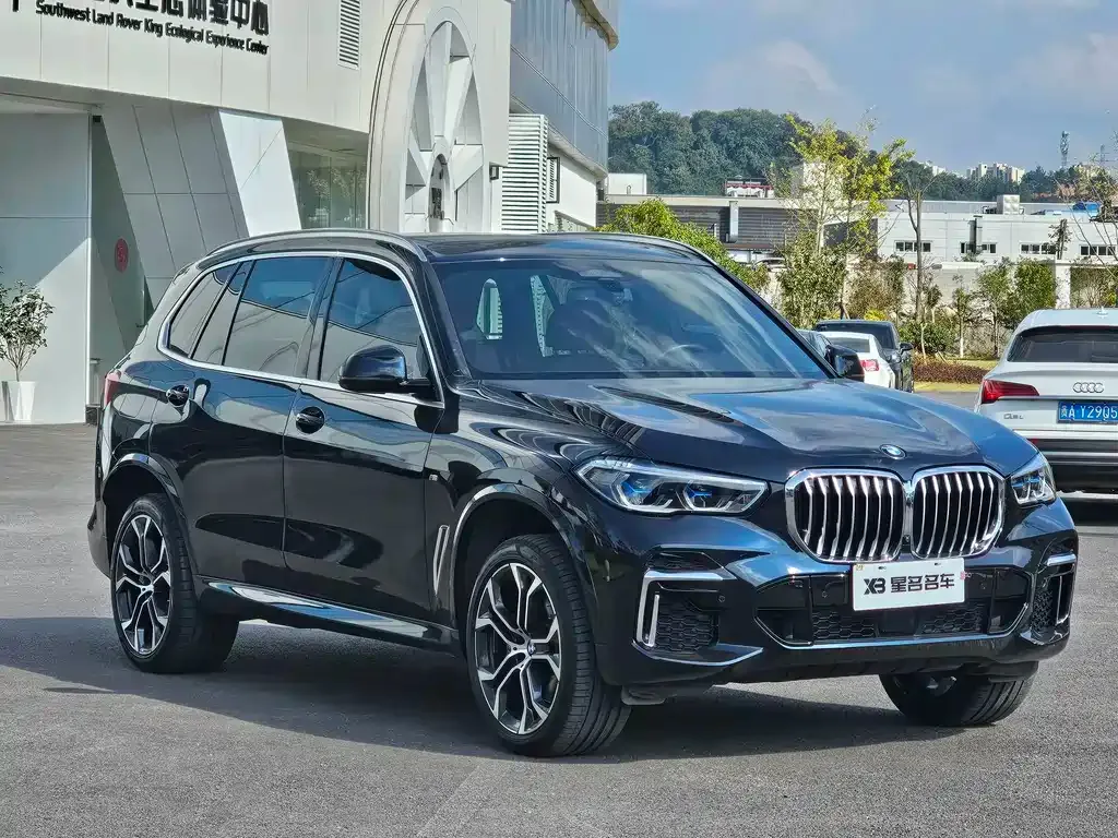 BMW X5 — фото 10
