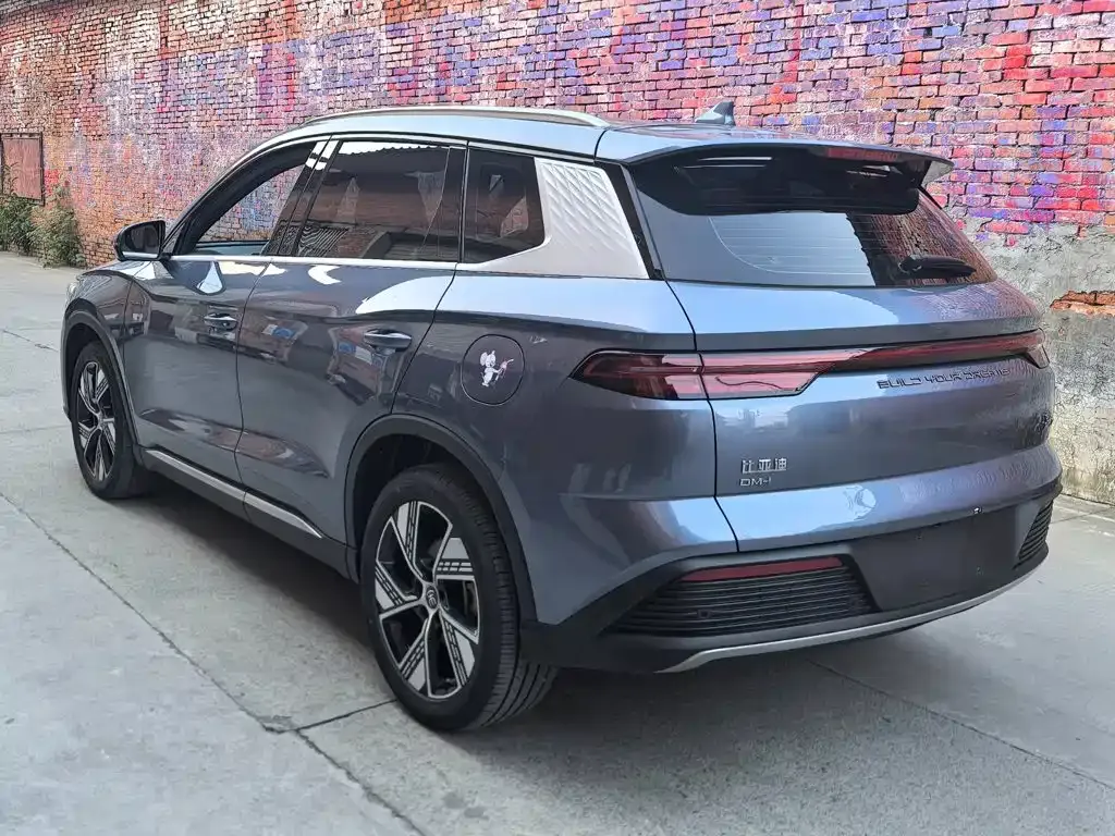 BYD Pro New Energy — фото 6