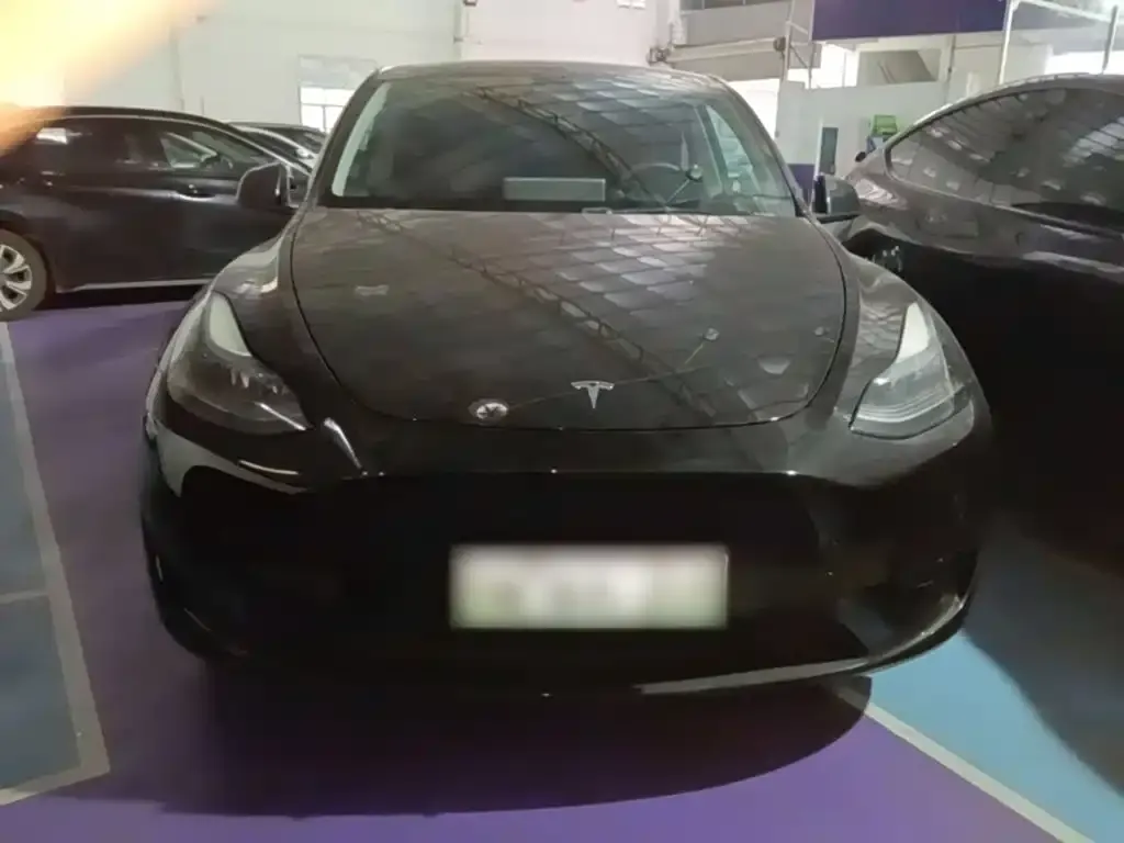 Tesla Model Y — фото 9