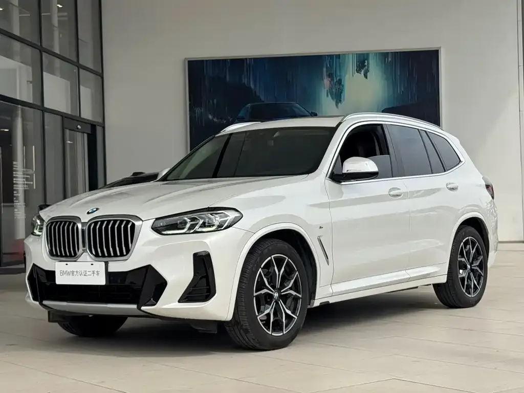 BMW X3 — фото 1