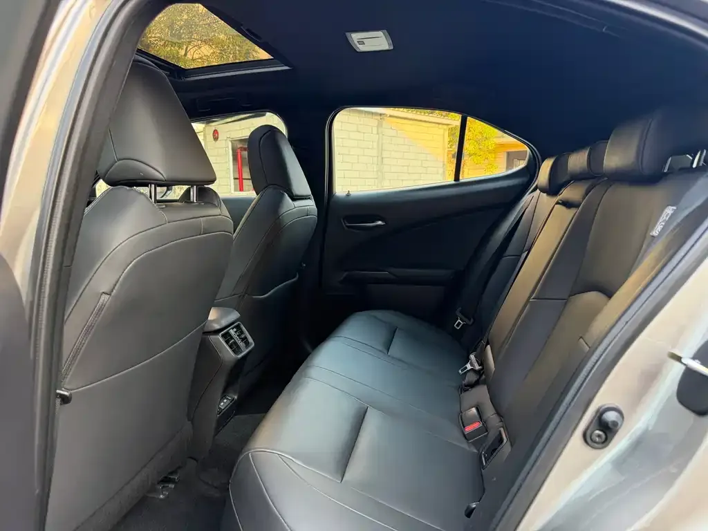 Lexus UX New Energy — фото 8