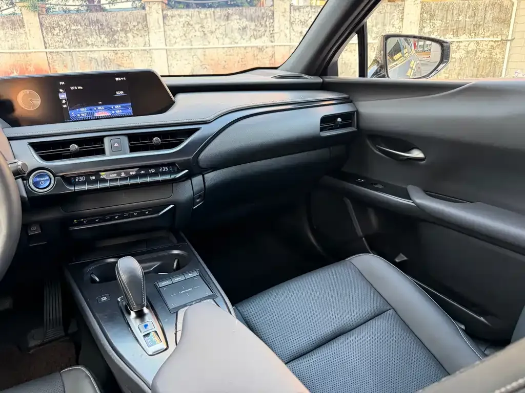 Lexus UX New Energy — фото 7