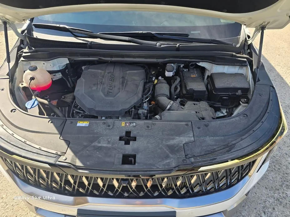 Kia Carnival — фото 10