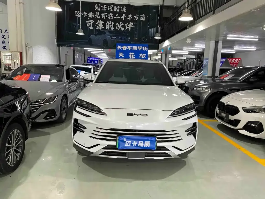 BYD PLUS New Energy — фото 2