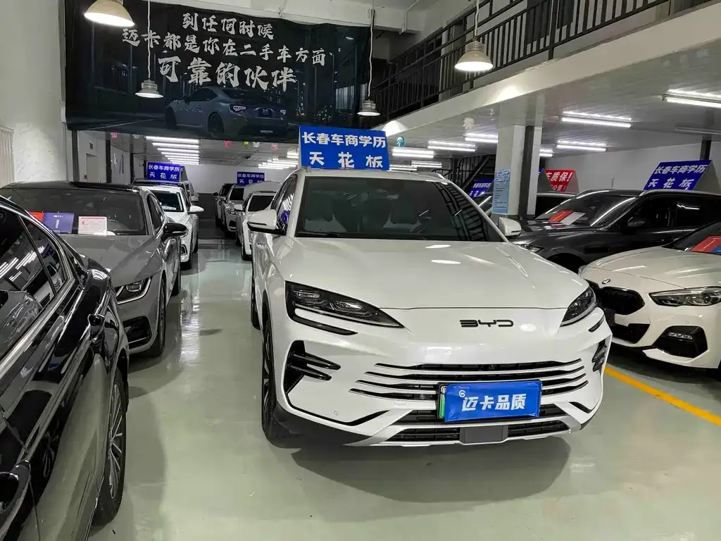 BYD PLUS New Energy — фото 7