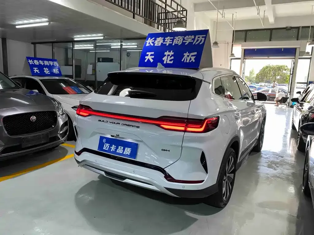 BYD PLUS New Energy — фото 8