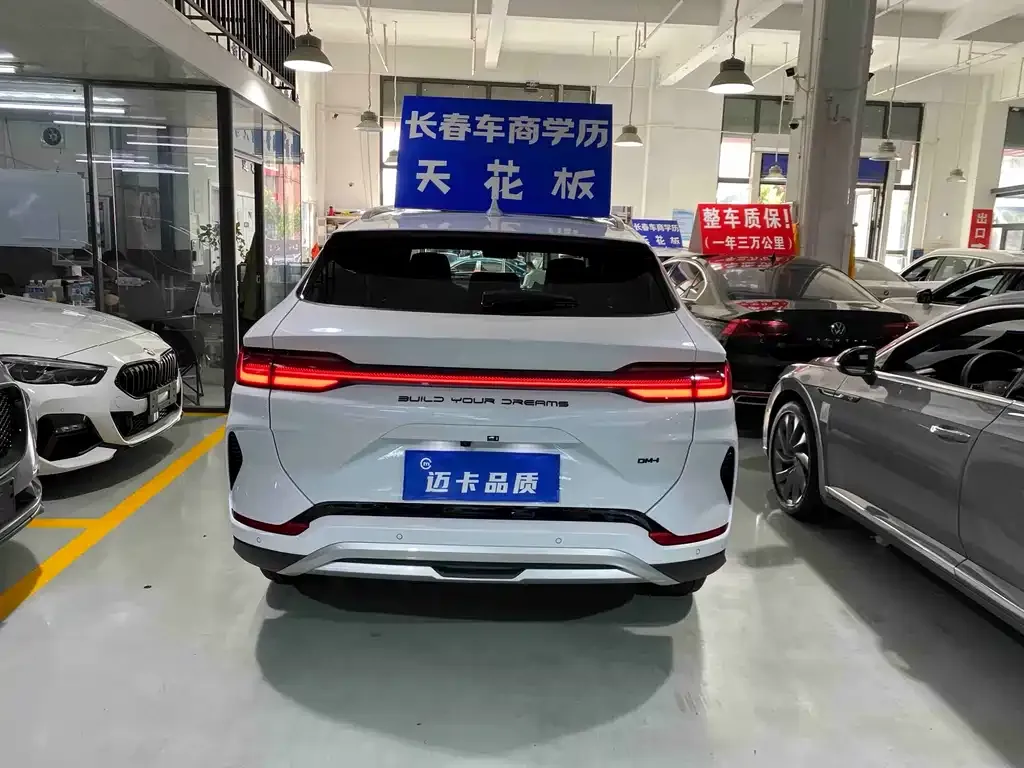 BYD PLUS New Energy — фото 9