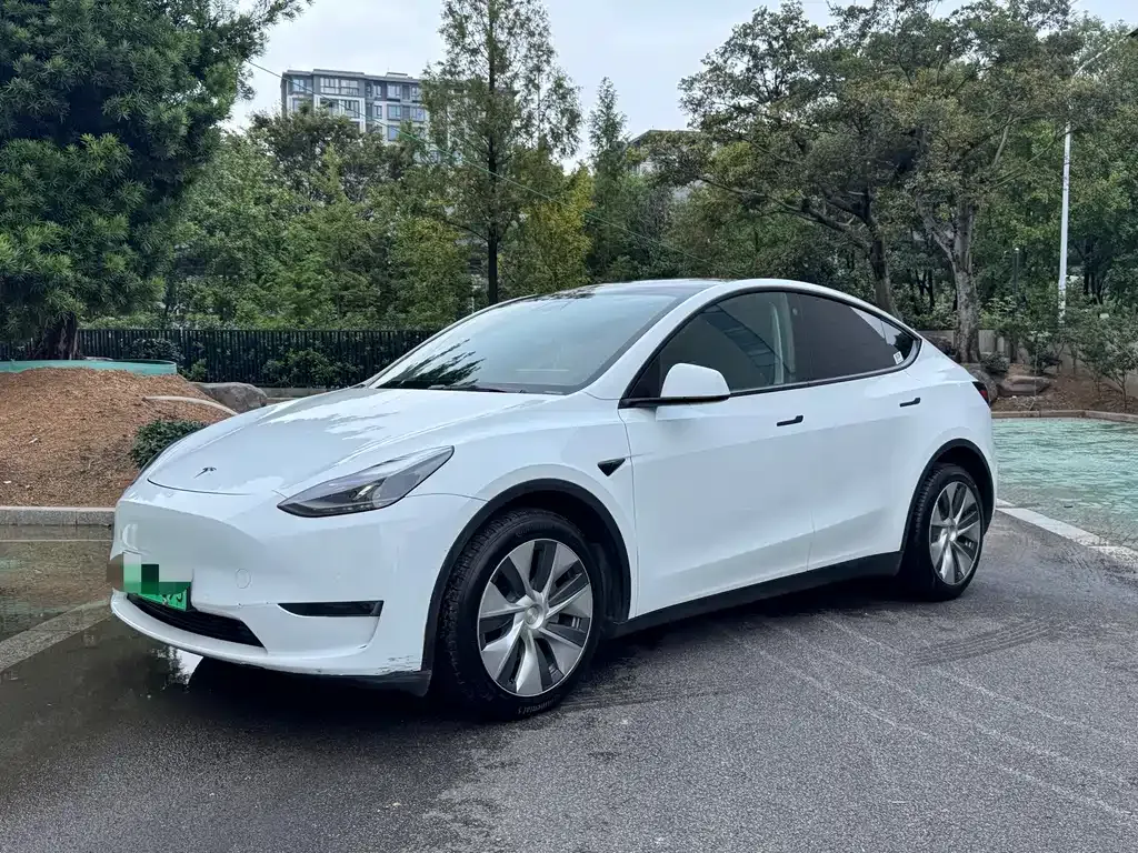 Tesla Model Y — фото 1