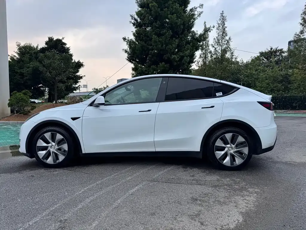 Tesla Model Y — фото 9