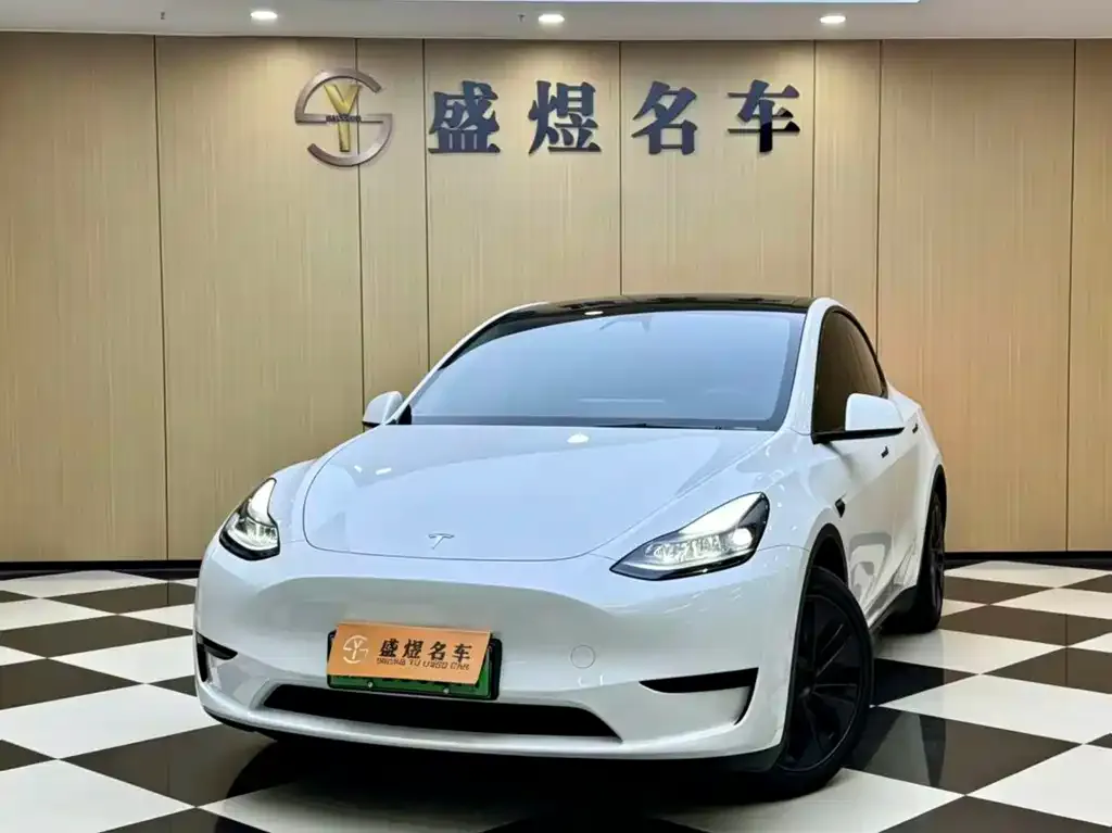 Tesla Model Y — фото 1