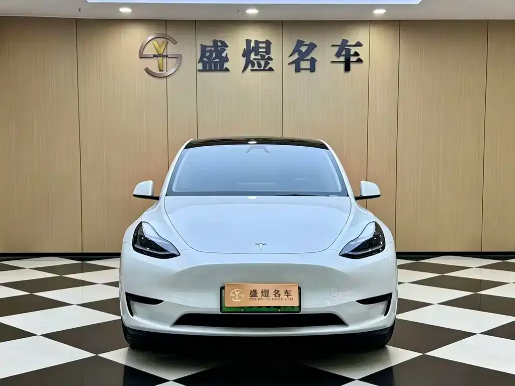 Tesla Model Y — фото 8