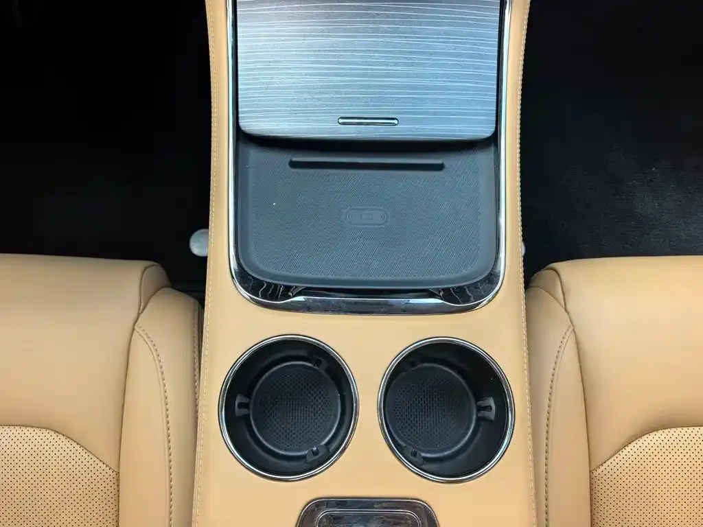Leapmotor C11 — фото 2