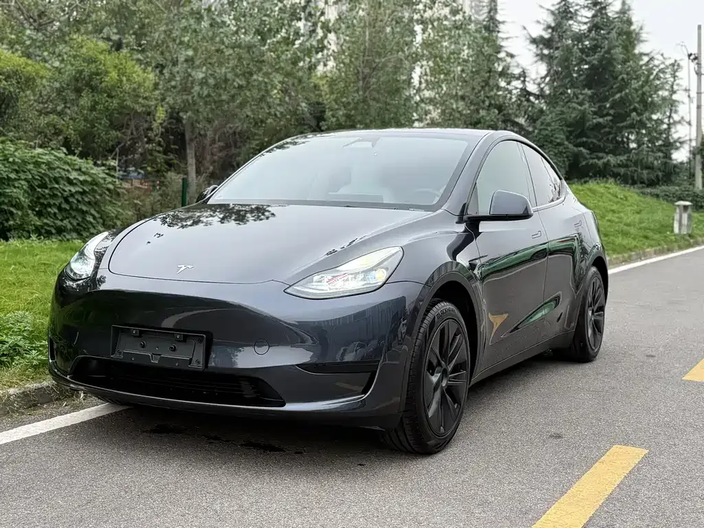 Tesla Model Y — фото 1