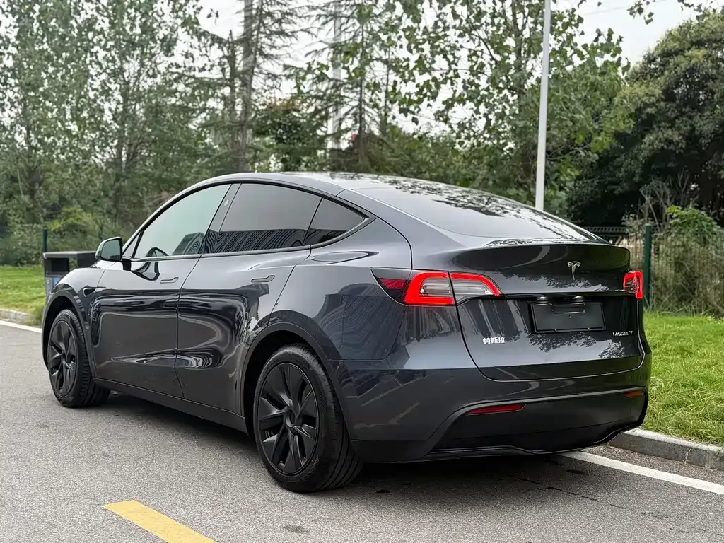 Tesla Model Y — фото 7