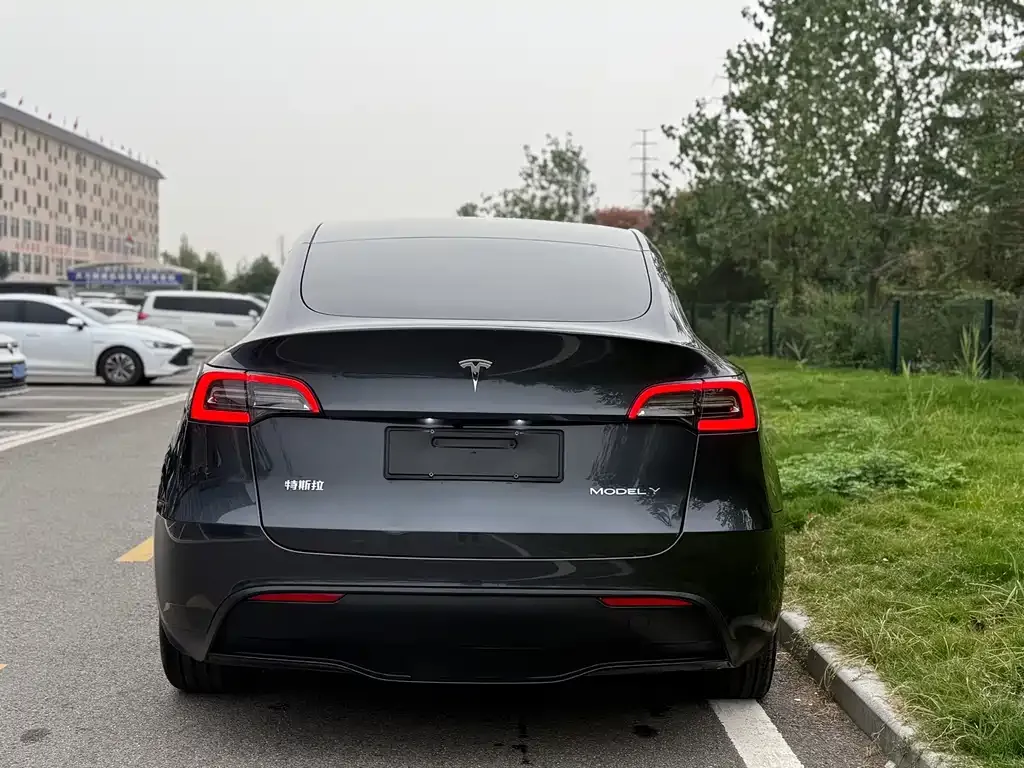 Tesla Model Y — фото 5