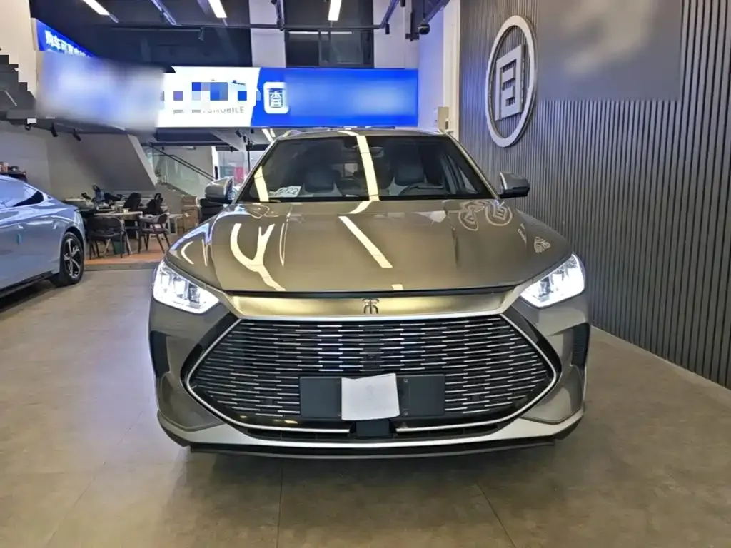 BYD PLUS New Energy — фото 10