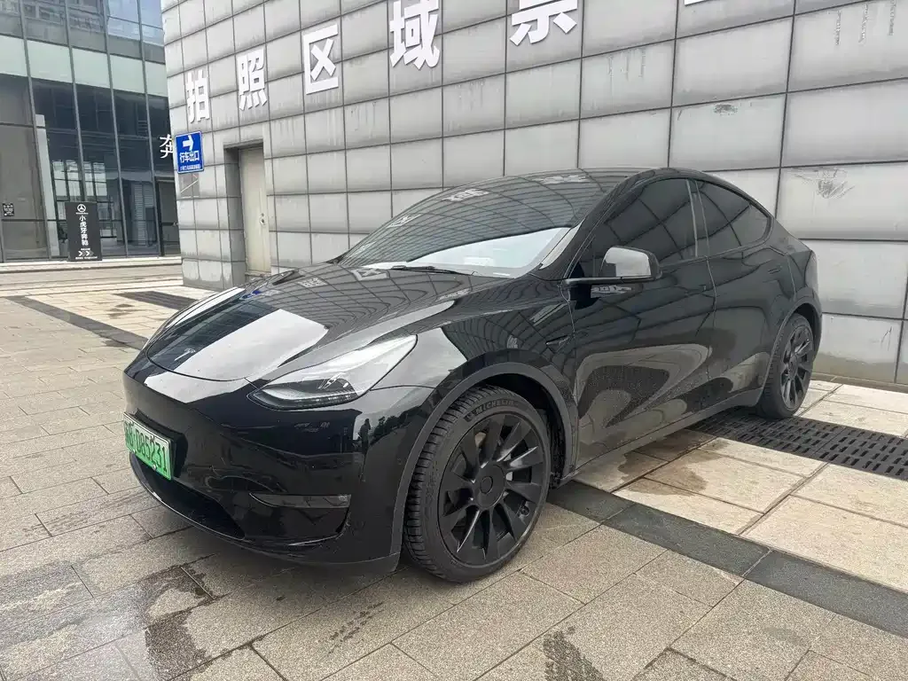Tesla Model Y — фото 1