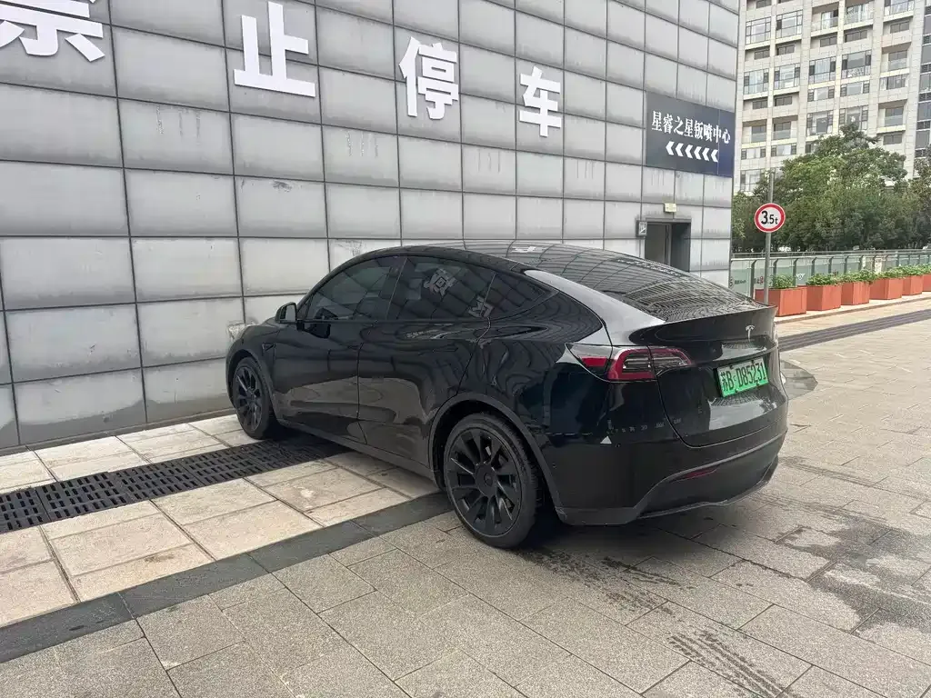 Tesla Model Y — фото 6