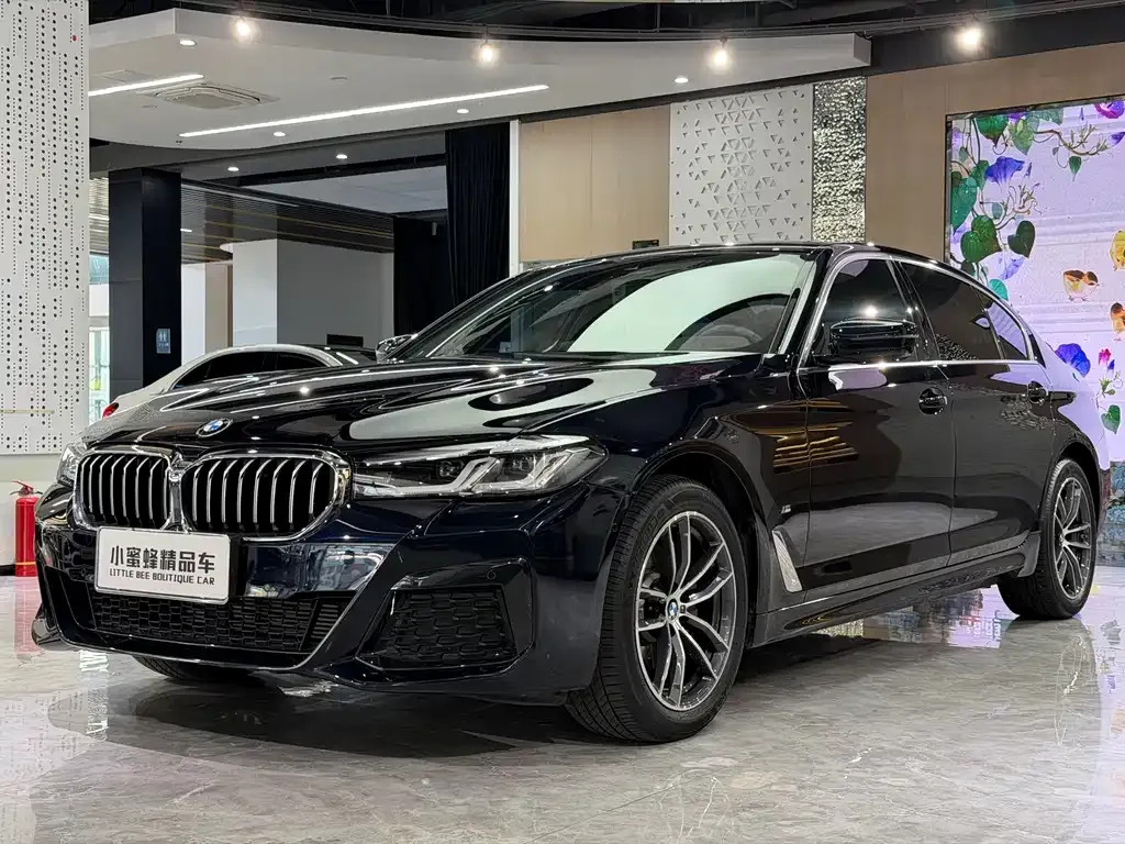 BMW 5 Series — фото 1