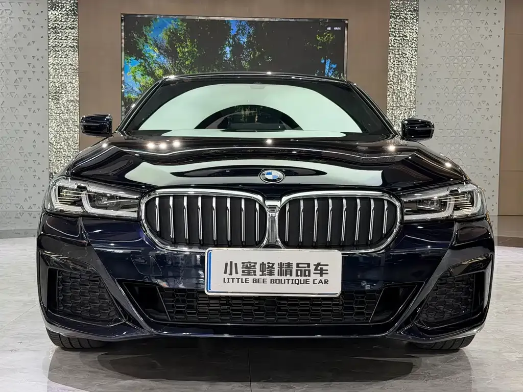 BMW 5 Series — фото 10