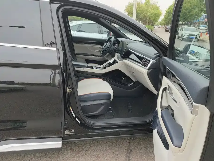 BYD PLUS New Energy — фото 10