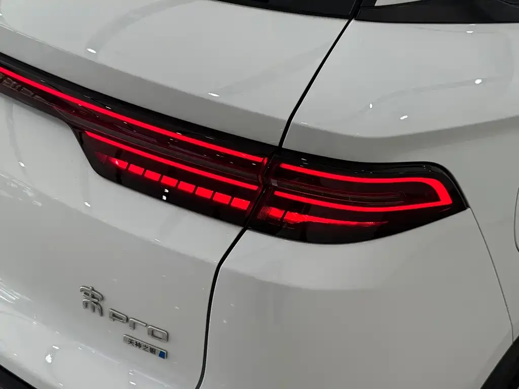 BYD Pro New Energy — фото 10