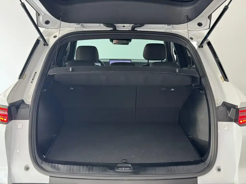 BYD Pro New Energy — фото 3