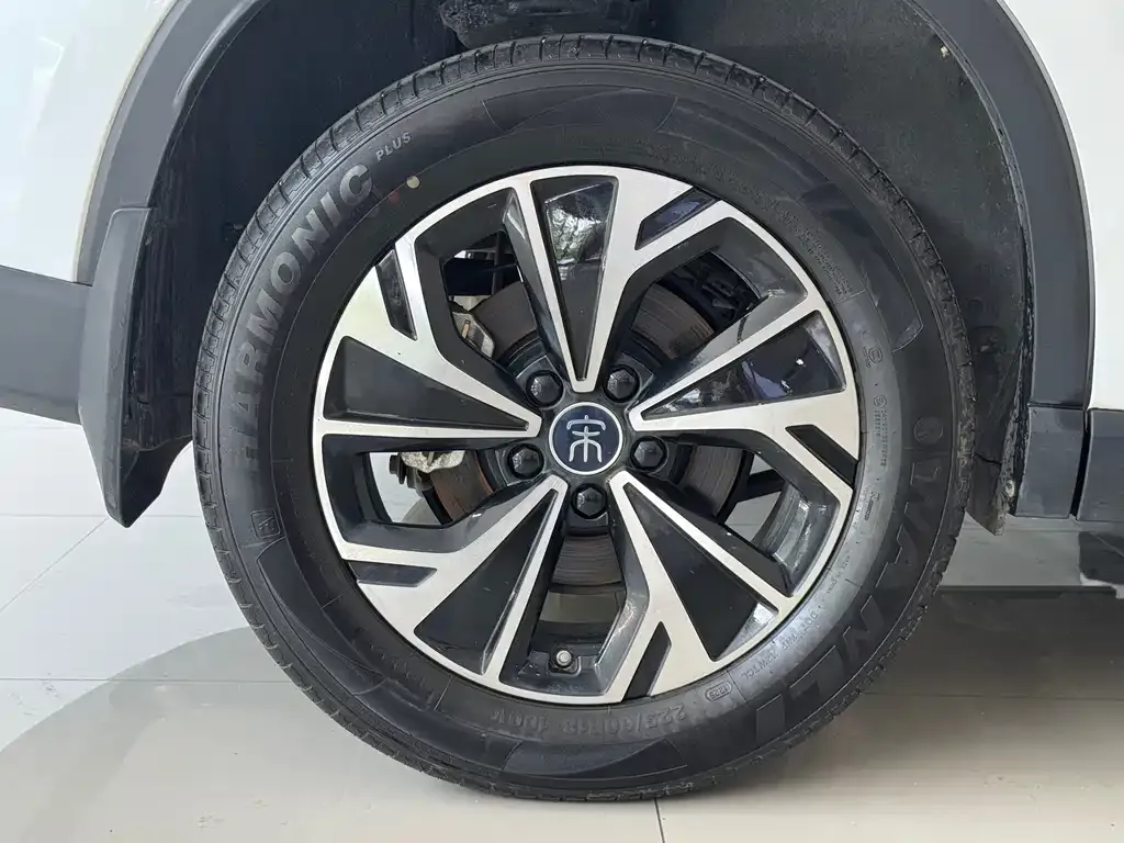 BYD Pro New Energy — фото 8