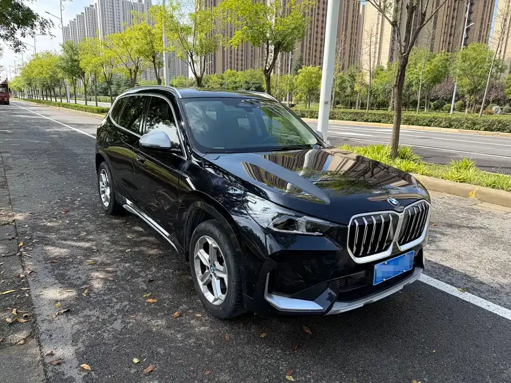 BMW X1 — фото 10