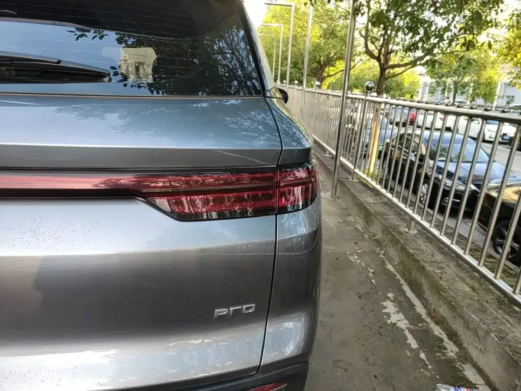 BYD Pro New Energy — фото 2