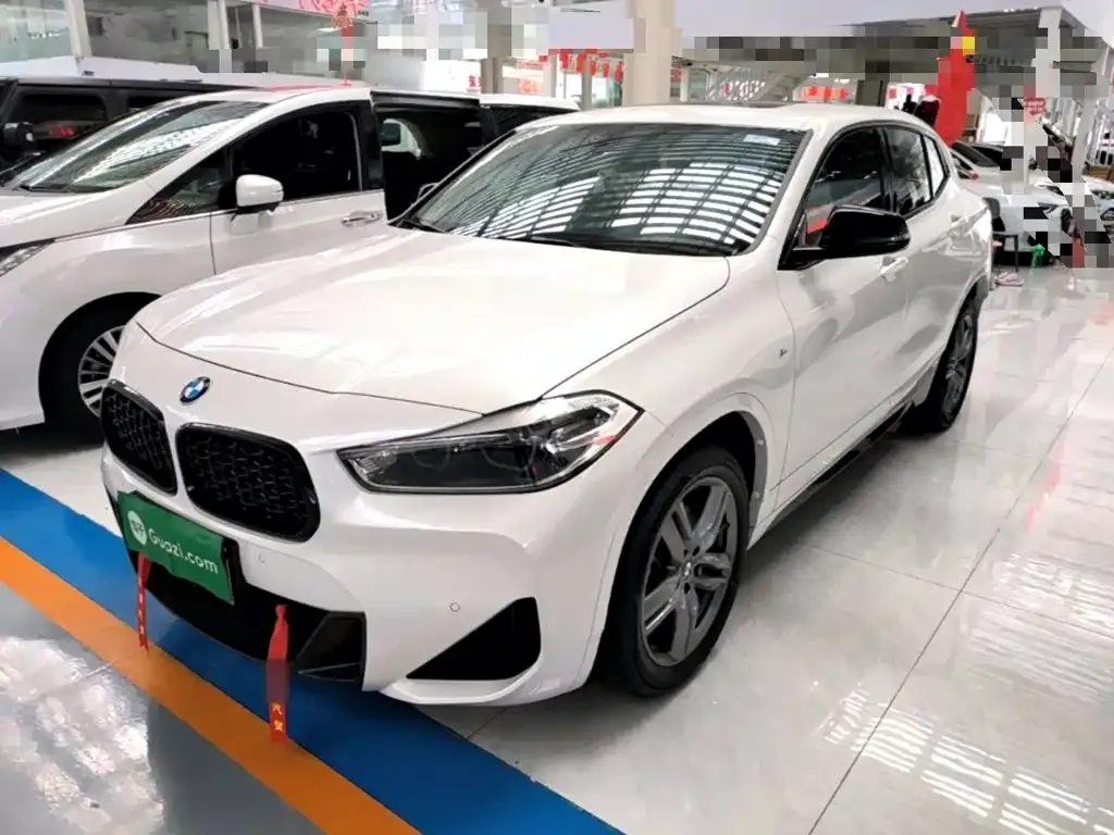 BMW X2 — фото 1
