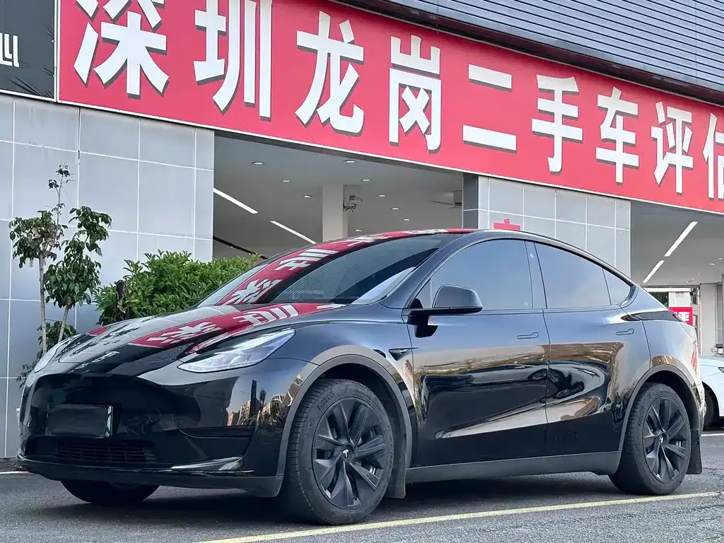 Tesla Model Y — фото 1