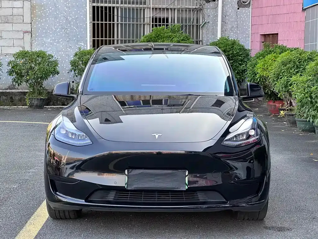 Tesla Model Y — фото 10