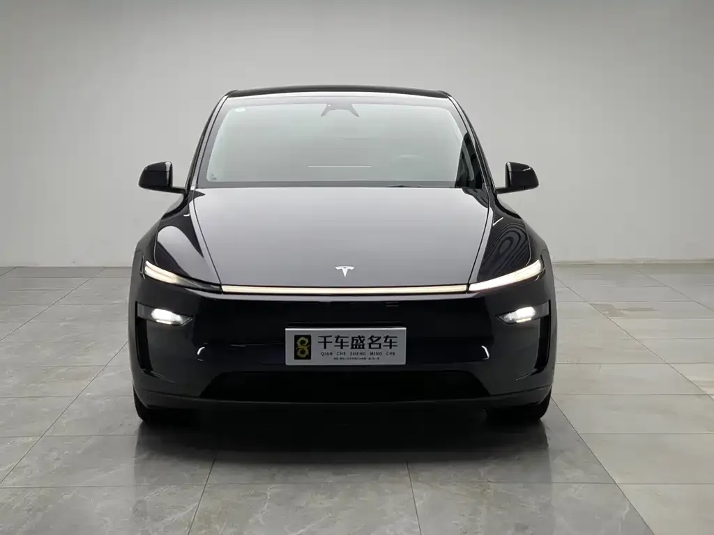 Tesla Model Y — фото 5