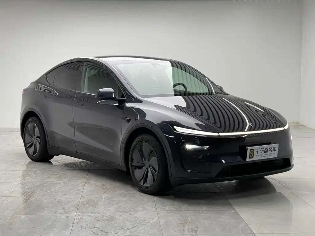 Tesla Model Y — фото 7