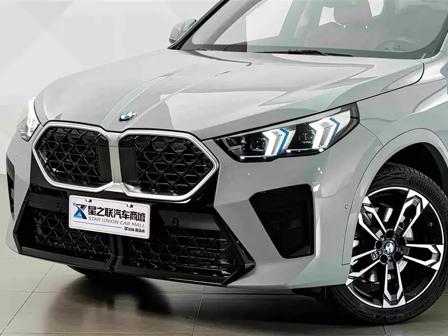 BMW X2 (Import) — фото 9