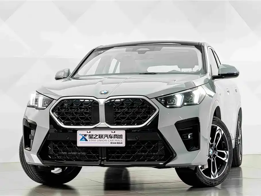 BMW X2 (Import) — фото 10