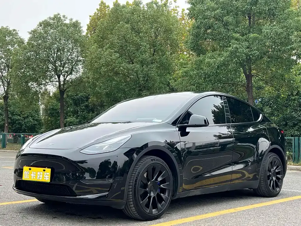 Tesla Model Y — фото 1